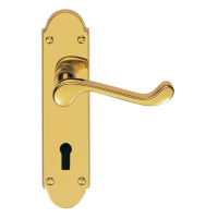 Carlisle Brass Oakley Door Handle on Lock Plate Polished Brass