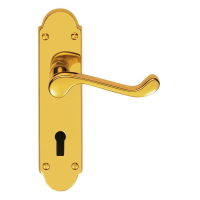 Carlisle Brass Oakley Door Handle On Lock Plate PVD Stainless Brass