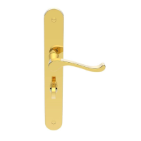 Carlisle Brass Savannah Door Handle on Long Bathroom Plate Polished Brass