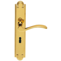 Carlisle Brass Seville Door Handle on Long Lock Plate Polished Brass