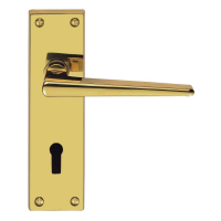 Carlisle Brass Victorian Contemporary Door Handle on Lock Plate Polished Brass