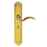 Carlisle Brass Wentworth Door Handle on Long Bathroom Plate Polished Brass