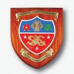 Heraldic Shields for Schools