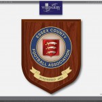 Heraldic Shields for University