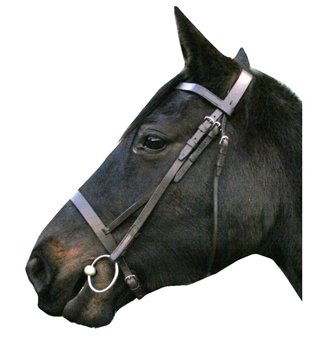 Horse Grooming & Associated Products in Aberdeenshire