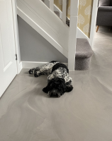 Domestic Polyurethane Resin Floor Installation