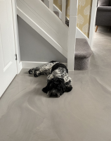 Polyaspartic Resin Flooring Leicester