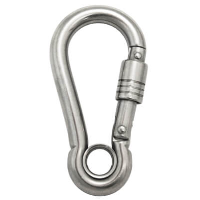 Carabiner with Self Lock Nut and Eye - Stainless Steel