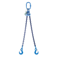 Eye Sling Hook - 2 Leg Chain Sling - Grade 100