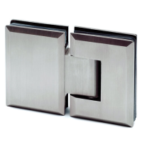 Glass Swing Door Hinge - Glass Mount - Stainless Steel