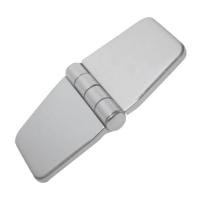 Hinge with Cover Caps - Wide - Stainless Steel
