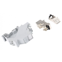 Telegartner J00023A0206 MTG Rail Outlet TS45 AMJ-S Cat6A T568B MOQ 5