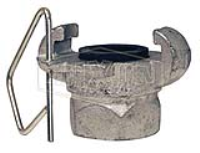 Surelock™ Female NPT End