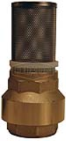 Strainer with Spring-Loaded Check Valve