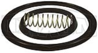 Spring Check Valve Repair Kit