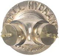 Exposed Two Way Wall Hydrant