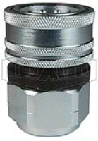 DQC TR-Series Tema European Interchange Female Coupler