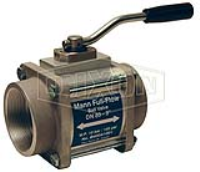 Dixon One-Way Full Flow Ball Valve Female NPT