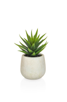Artificial Aloe in White Pot - 17cm, Green