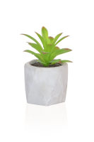 Artificial Mixed Succulent in White Pot - 12cm, Green