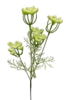 Artificial Field Flower Spray - 76cm, Light Green