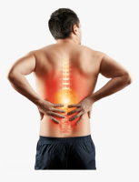 Our-Hour Back Pain, RSI and Posture Workshop