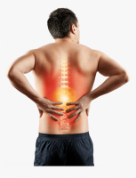 One-Hour Preventing Back Pain and RSI Workshop