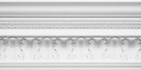 CN134 Cornice Plaster Mouldings