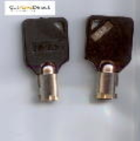 Pair of Tubular Helix 001 - 100 Replacement Keys