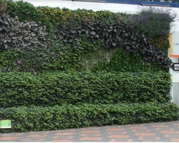 Installers Of Ivy Living Green Screens