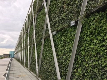 Installers Of Living Green Walls