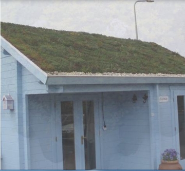 Easy To Install Sedum Green Roof