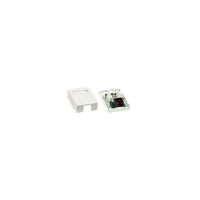 BOX-SM5E-WL-2 - CAT5e Surface Mount Box Install 2 Port Solid Conductor UTP Type 110