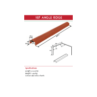 Tilcor angled ridge 2M X 110MM