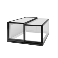 Terrace Access Skybox Rooflight