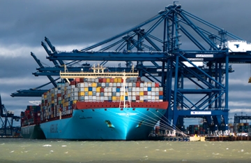 Highly Competitive Sea Freight Services