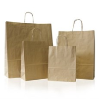 Kraft Twisted Handle Paper Bags 10.25x15x14 Per 125 - MIDI