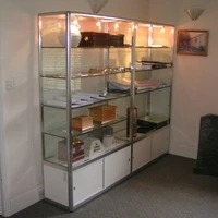 Bespoke Trophy Display Cabinets For Living Room
