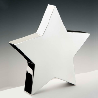 Personalised Pewter Star Awards