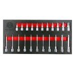 Britool Hallmark M2BTXSET22 22 Piece 3/8" Drive Torx Bit Socket Set in Foam Tray