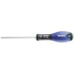 Expert by Facom E160507 Torx Screwdriver – T20 x 100