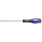 Expert by Facom E165204 Phillips Screwdriver – PH00 x 50