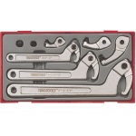 Teng TTHP08 Hook & Pin Spanner Wrench Set In Tool Box Tray