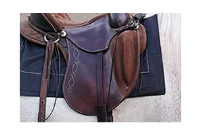 Dynamic Horse Saddle Pressure Mapping