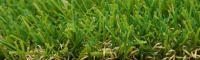 Suppliers of Easy Lawn