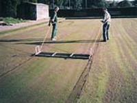 Level Lawns 2m (6.5ft) or 3m (10ft) wide