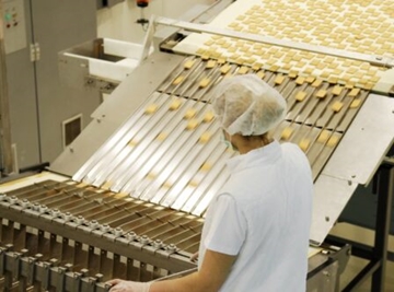 Bespoke Bakery Conveyors