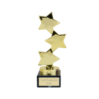 3 Star Award - Gold or Silver