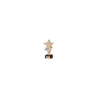 Budget Star Award - 2 Sizes - Gold/Silver