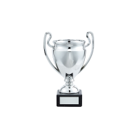 Champions League Style Cup - 3 sizes